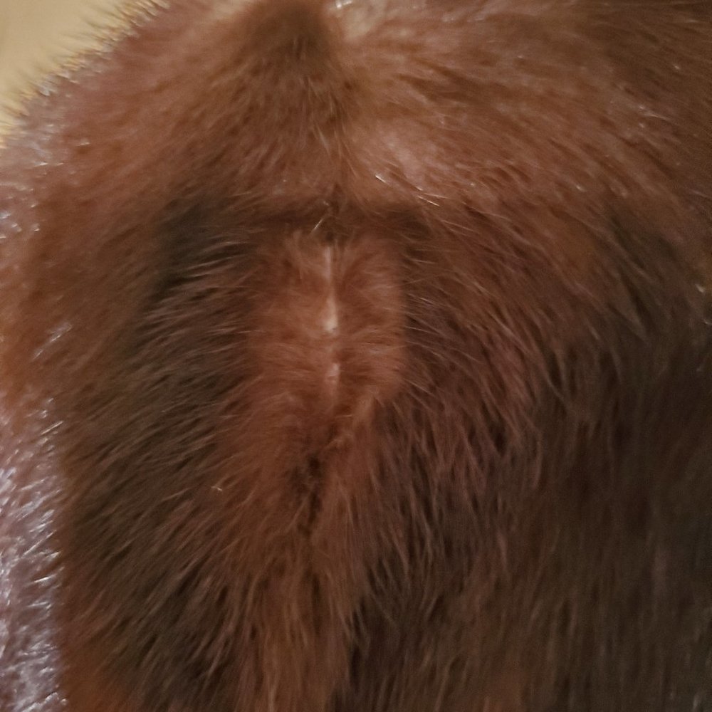 Dark Brown Mink Stoller (Size 12) - Picture 5 of 8